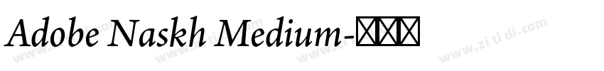 Adobe Naskh Medium字体转换 Adobe Naskh Medium字体转换